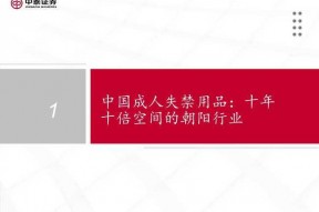 国产37页,深度解析我国科技发展的新篇章